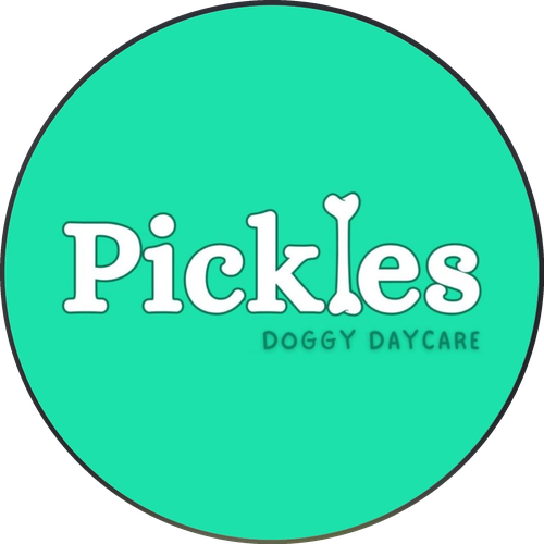 Pickles Doggy Daycare