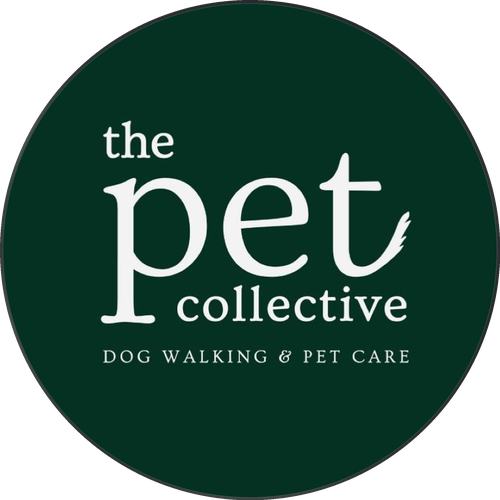 The Pet Collective Walkies